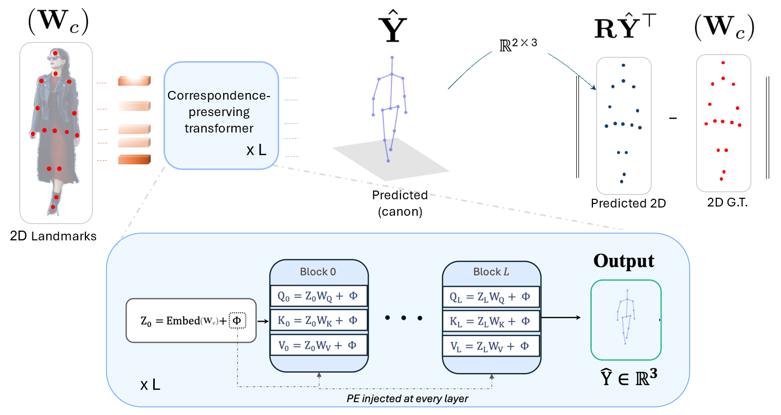 Correspondence-preserving transformer architecture for the 2D-LFM model